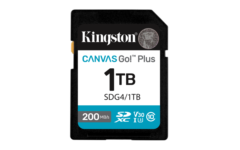 Card de Memorie SD Kingston Canvas GO Plus CL 10