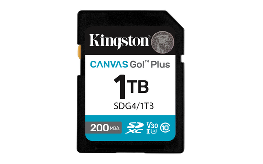Card de Memorie SD Kingston Canvas GO Plus CL 10